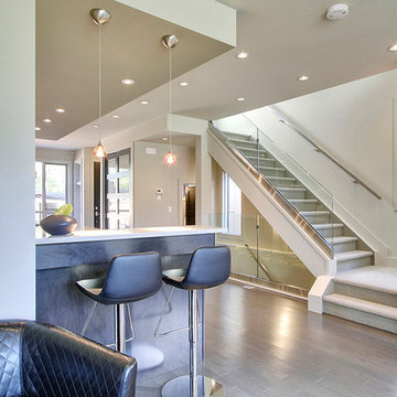 Two Contemporary Homes in the City