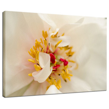 Eye of Peony Floral Nature Photography Canvas Wall Art Print, 24" X 36"