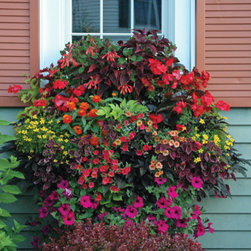 30" Window Box Planter - Outdoor Decor