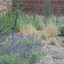Front landscape