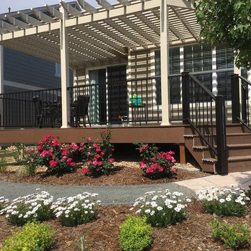 Watching a Xeriscape Grow