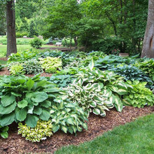 Welcome Garden