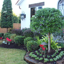 Front yard
