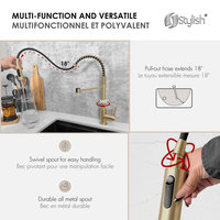 STYLISH Milano Pull-Down Kitchen Faucet with water filter, Stainless Steel., Brushed Gold