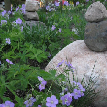 Native Perennial Border