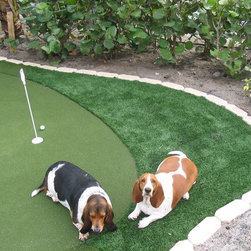 Pet Turf - Products