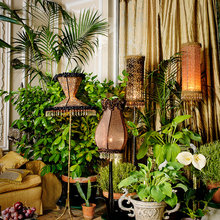 Lamp envy
