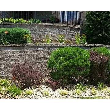 Planting Design in Landscaping