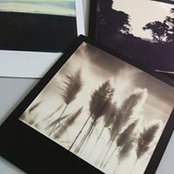 Meleah Farrell's photo