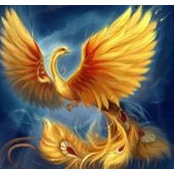 Phoenix Rising's photo