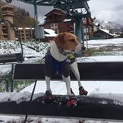 Kim Rosa's photo