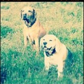 Lorraine Simmons's photo