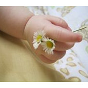 Foto von Romy Schlie
