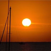 Matteo Nardelli's photo