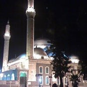 Majd Tarabishy's photo