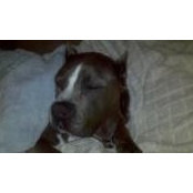 Troy Holbrooke's photo