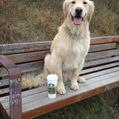 Lori Masse's photo