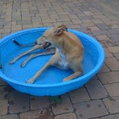 Steve Byrnes's photo