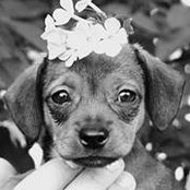Cathryn Albright's photo