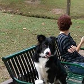 Susan Dunn's photo