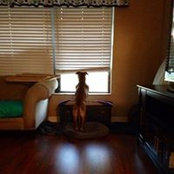 Jesslyn Sarnowski's photo