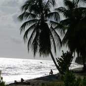 Georges Regnier's photo