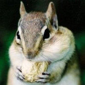 Sharon Doolittles foto