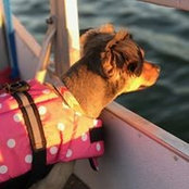Kevin-Sandra Coffman's photo