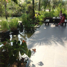 Landscape Ideas