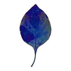 Chroma Leaf 2: 116 B - Fine Art Prints