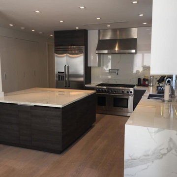 Contemporary Flat Panel Kitchen