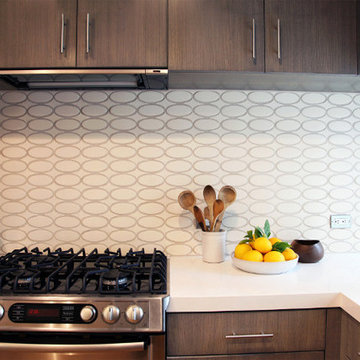 Contemporary Kitchen