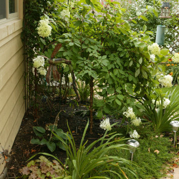 Formal Gardens in Front and Pondless Stream in Backyard