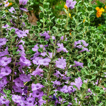 From Inherited to Inviting