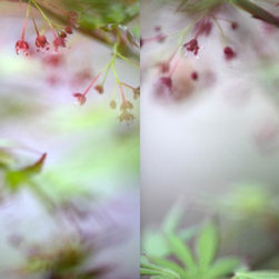 Florals - Artwork