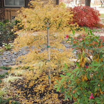 Kakusareta yōsai in Park Hill
