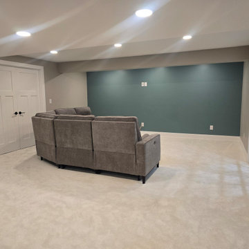 Basement Build-Out Gallery
