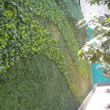 Wall Designs