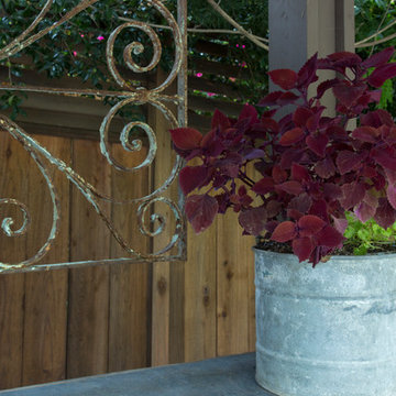 My Houzz: Colorful Garden Oasis in Marin County
