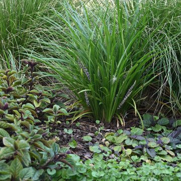 Pollinator Haven