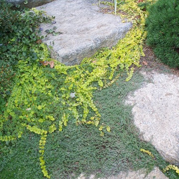 Backyard Secret Garden in Connecticut