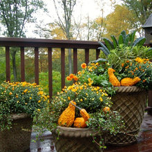 Seasonal decorating
