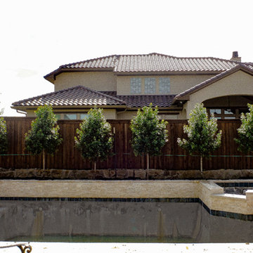 Evergreen Trees & Shrubs