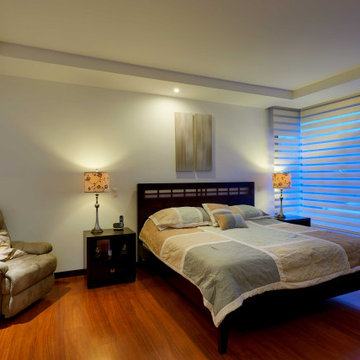 Springblinds Premium Zebra Dual Sheer Shades