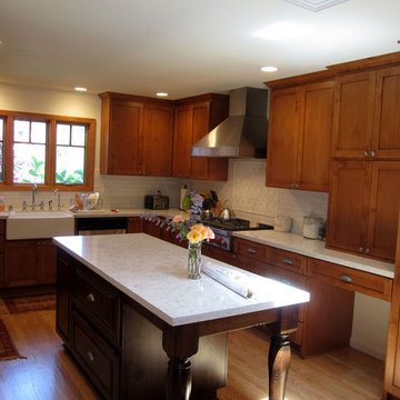 A New Focus - In Willow Glen