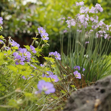 PETITE WILD MEADOW