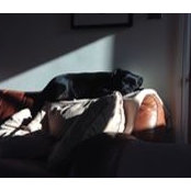 Foto von Amanda James