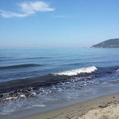 Daniela Messina's photo