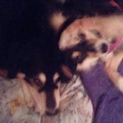 Sabine Semder's photo