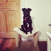 Amanda Gornic's photo